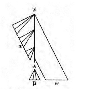 Mango A->β en el árbol de análisis sintáctico de una forma de frase derecha aβw